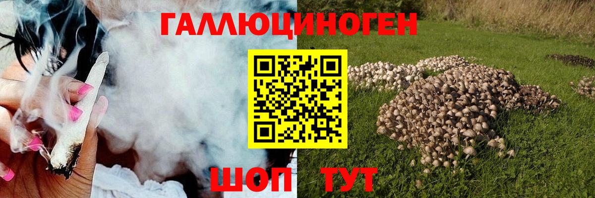Гашиш  Марихуана  A PVP СОЛЬ кристаллы  COCAIN  Бошки Шишки  Вход с VPN  Меф   Балтийск  Как найти наркотики? 