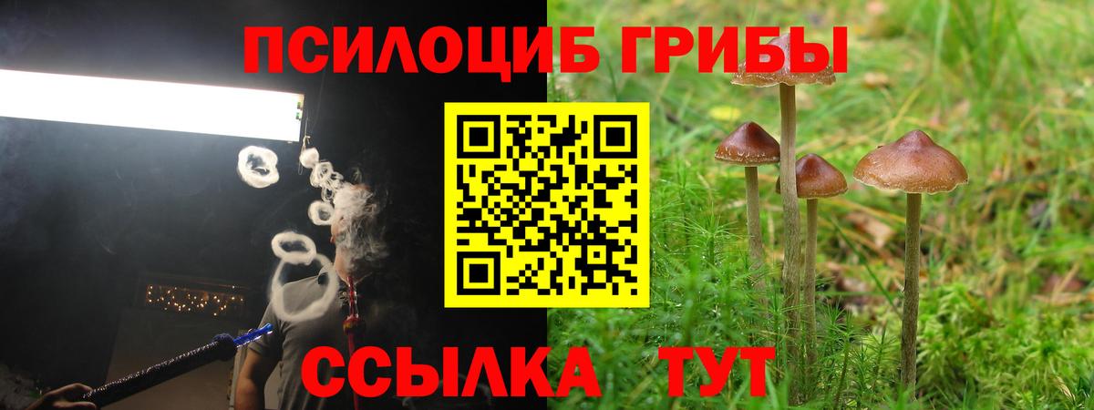 Балтийск  что такое наркотик  Псилоцибиновые грибы Magic Shrooms  Вход с VPN  Галлюциногенные грибы прущие грибы 