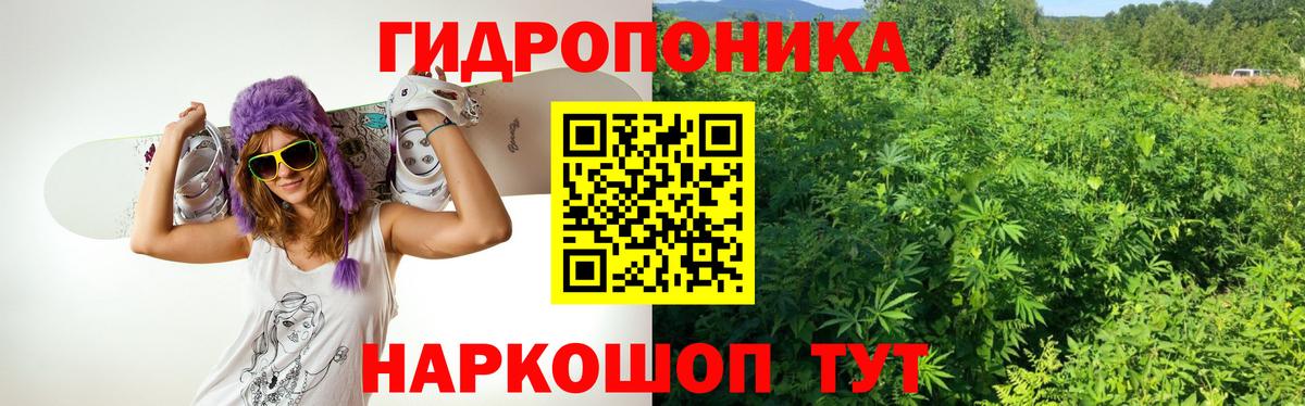 Конопля план  Вход с VPN  Балтийск  Шишки марихуана Amnesia 